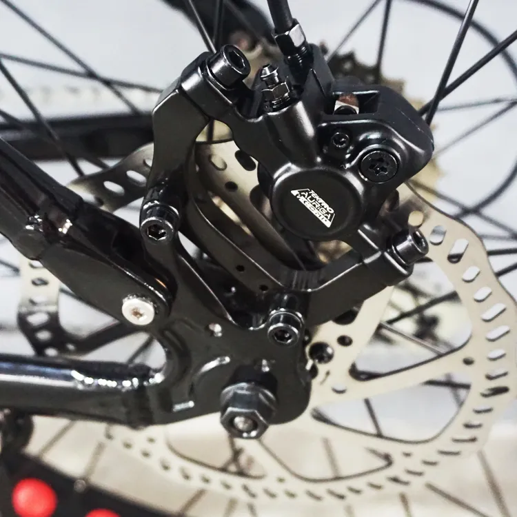 Electric Folding Bike with Fat Tyre for Woman