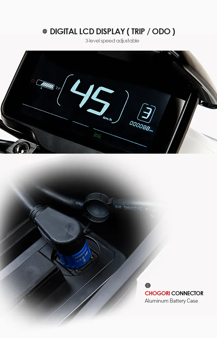 Electric Motorcycle with Brand Motor and Lithium Battery