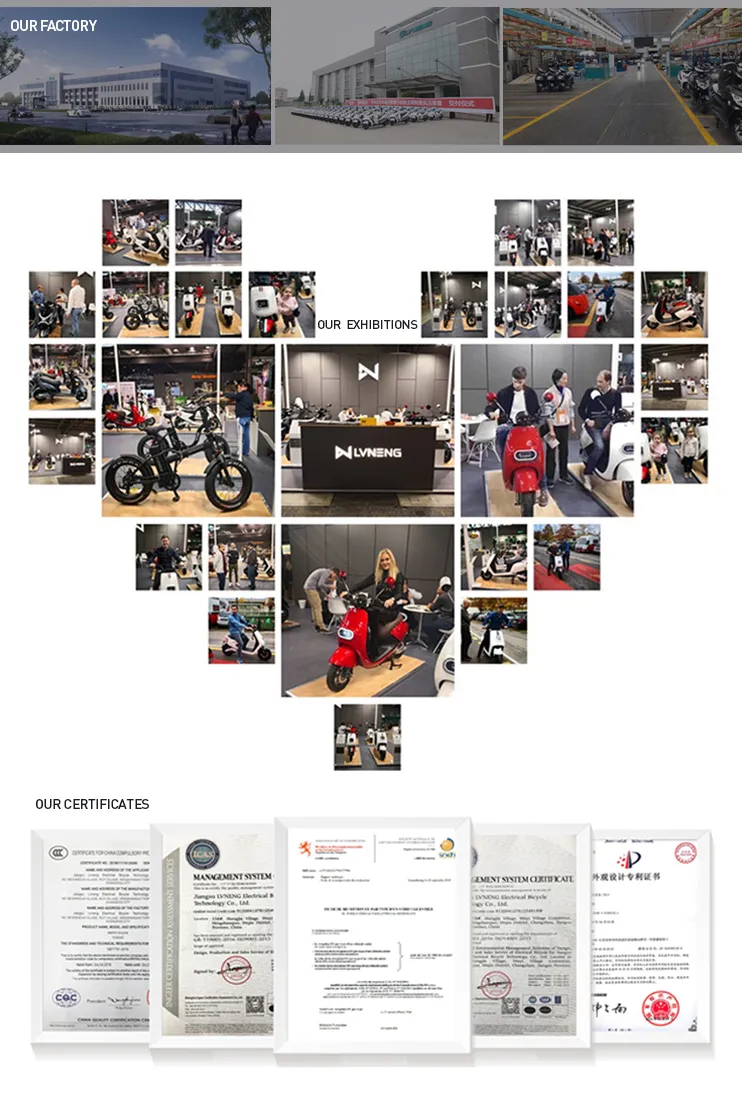 Electric Motorcycle with Brand Motor and Lithium Battery