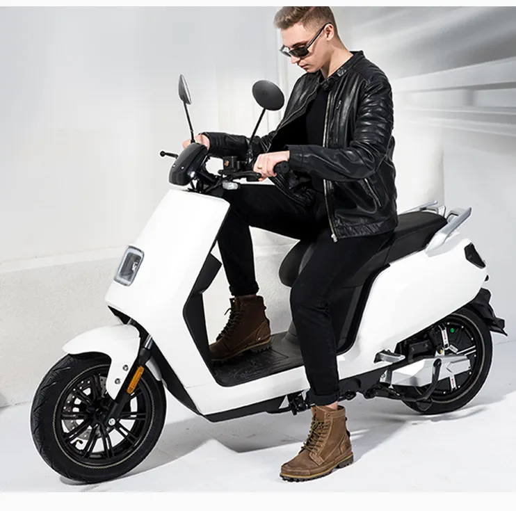 Electric Motorcycle with Brand Motor and Lithium Battery