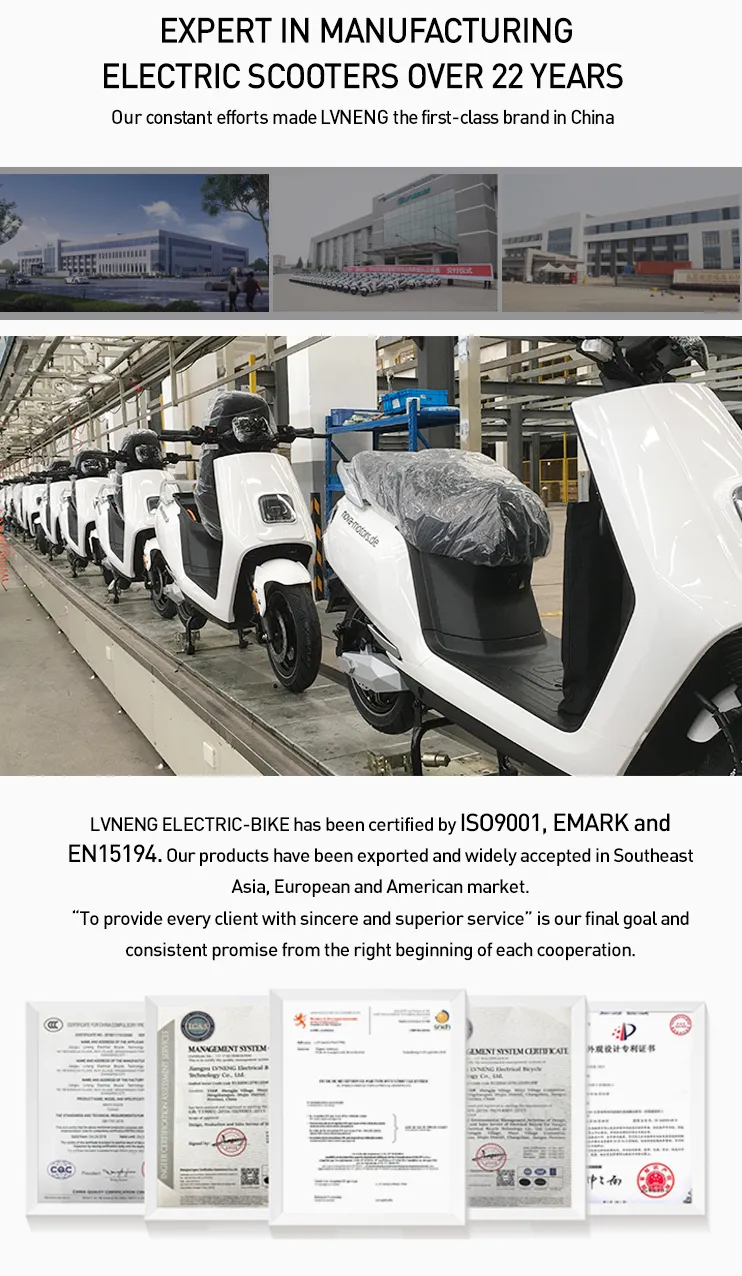 Electric Motorcycle with Brand Motor and Lithium Battery