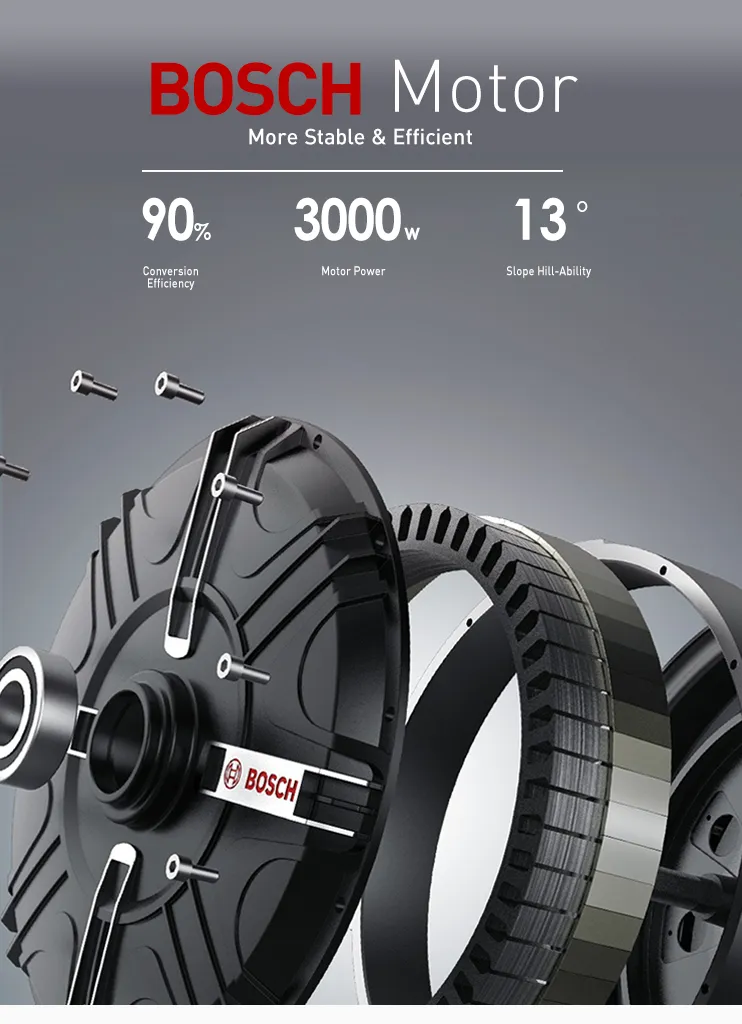 Electric Motorcycle with Brand Motor and Lithium Battery