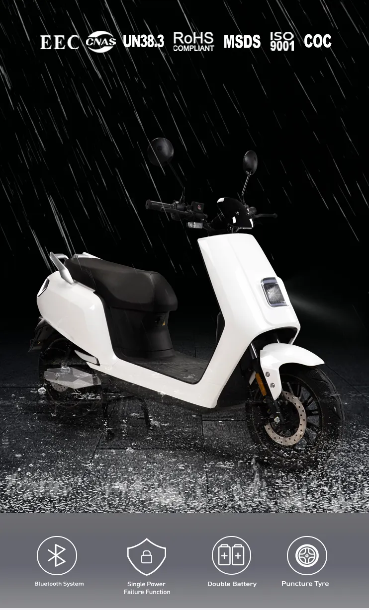 Electric Motorcycle with Brand Motor and Lithium Battery