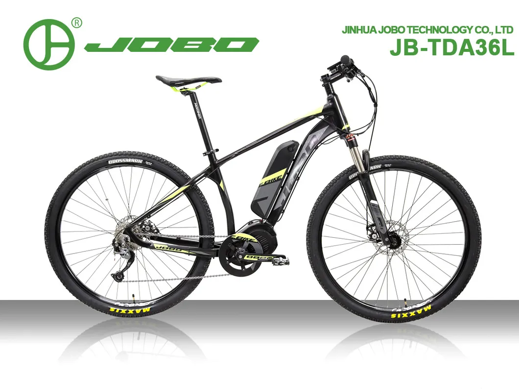Electric Mountain Men Bike with 29inch Tyre