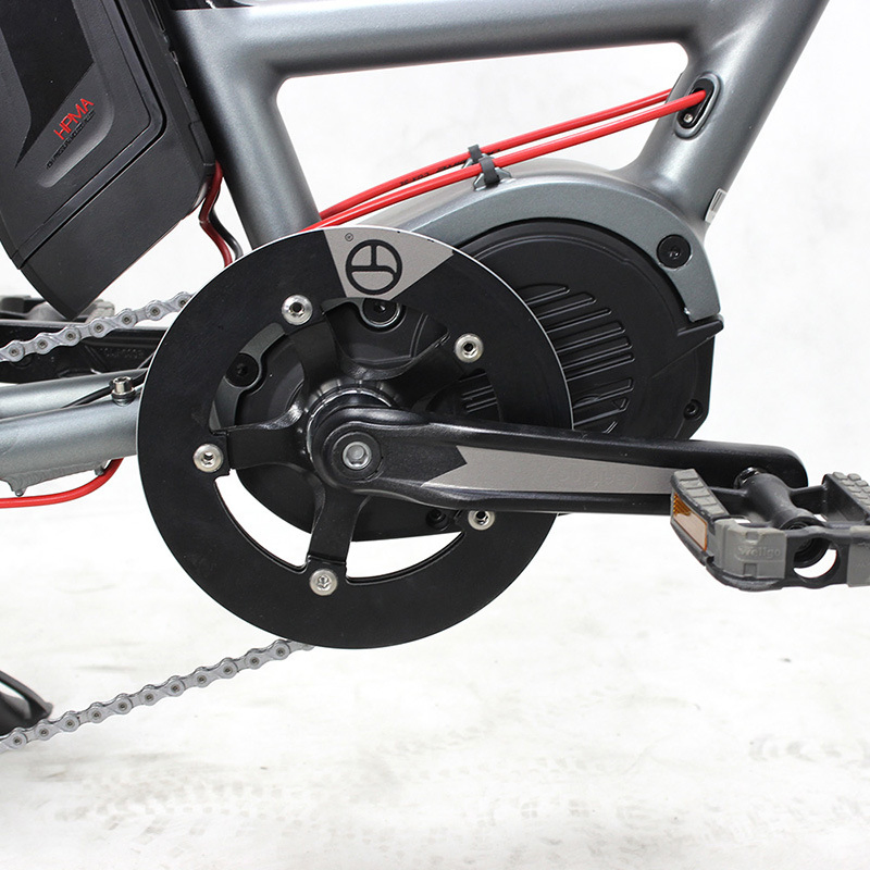 Electrical Cargo Bike with Basket and Rear Carrier