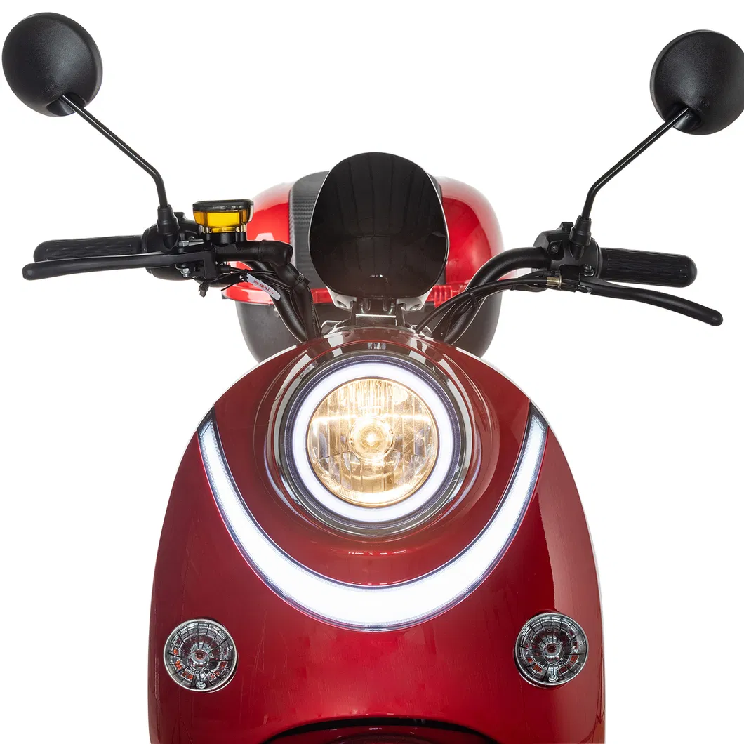 Elektrikli Motorsiklet Baby Toys Saddle Bag Rooder Arrow Pieces Rechanges 2021 New Coming Batery Fuse Holder Moto Eletrica 3000 Re 1 LED Bulb Light Citycoco