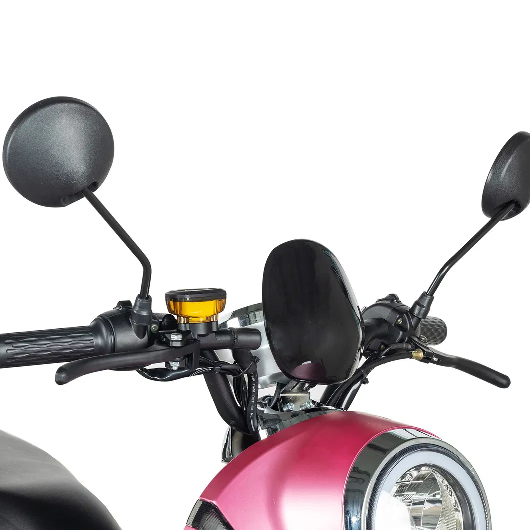 Elektrikli Motorsiklet Baby Toys Saddle Bag Rooder Arrow Pieces Rechanges 2021 New Coming Batery Fuse Holder Moto Eletrica 3000 Re 1 LED Bulb Light Citycoco