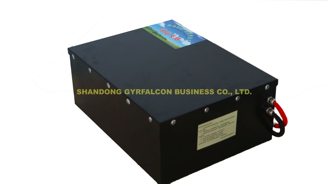 Factory Direct Supply High Quality 12V 24V 36V 48V 60V 72V 80V Lithium Battery