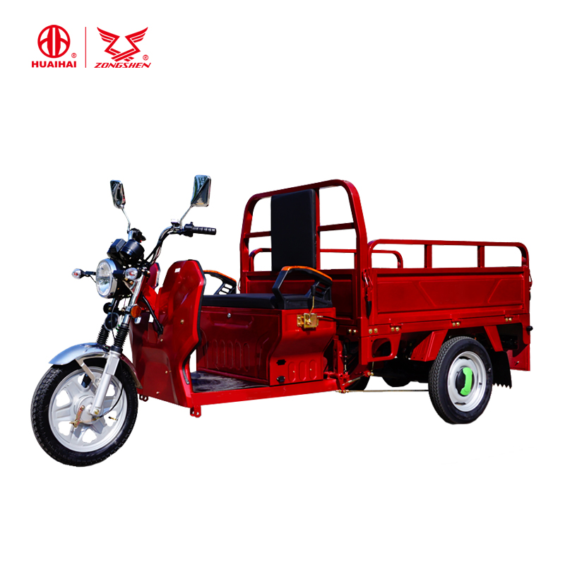 Factory Directly Sell Three Wheel Delivery Cargo Adult Electric Tricycle for Commerical