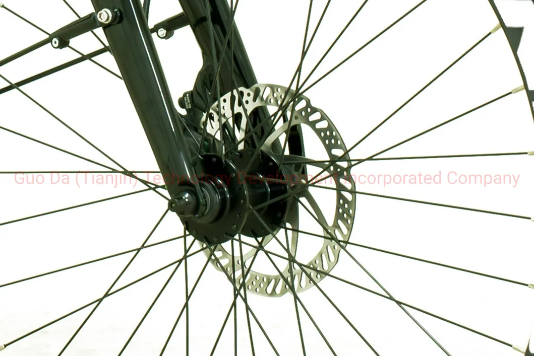 Fashion Color Red Electric Mountain Bicycle with 700c