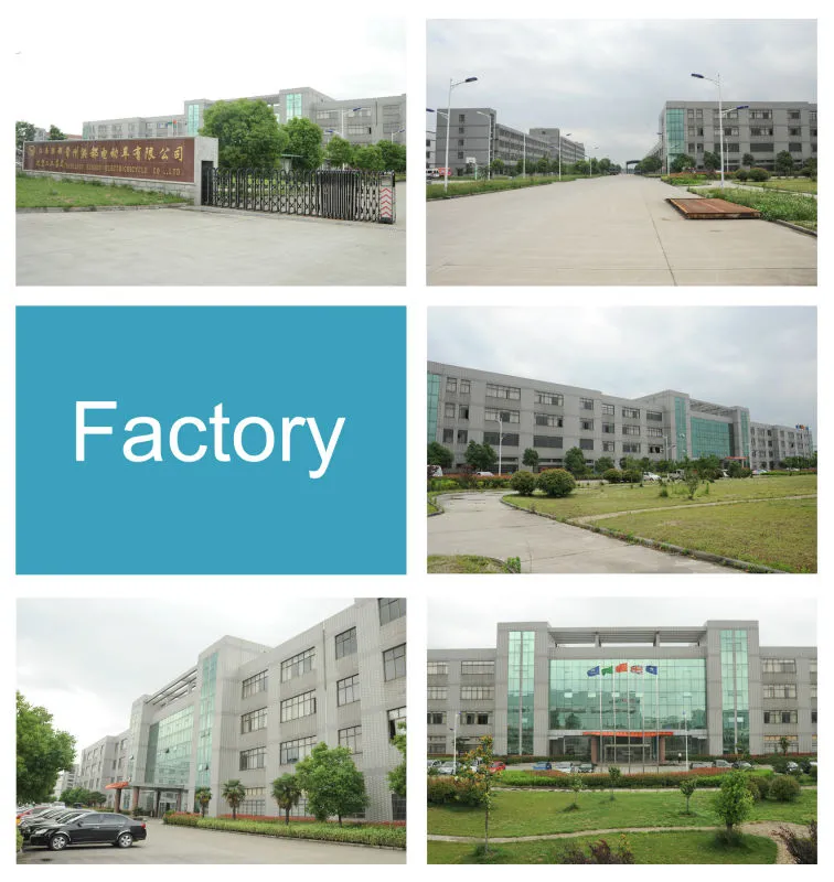 Fashion Style 500W Lithium Battery Electric Bicycle with 35km Speed and 60km Folding E-Bike