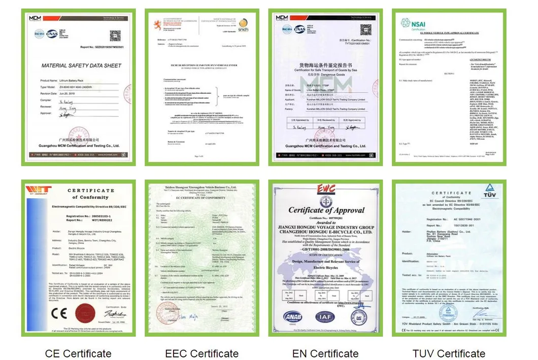 Fashion Style 500W Lithium Battery Electric Bicycle with 35km Speed and 60km Folding E-Bike