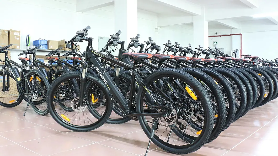 Fat Tire Mountain City Bike 20 Inch Beach Bicycle Fat Mountain Bike