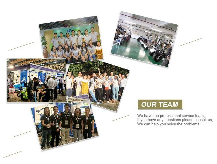 Fat Type City Bike Scooter Ecorider E6-1 Electric Bicycle