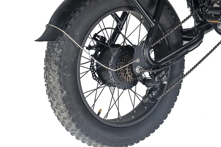 Fat Type City Bike Scooter Ecorider E6-1 Electric Bicycle