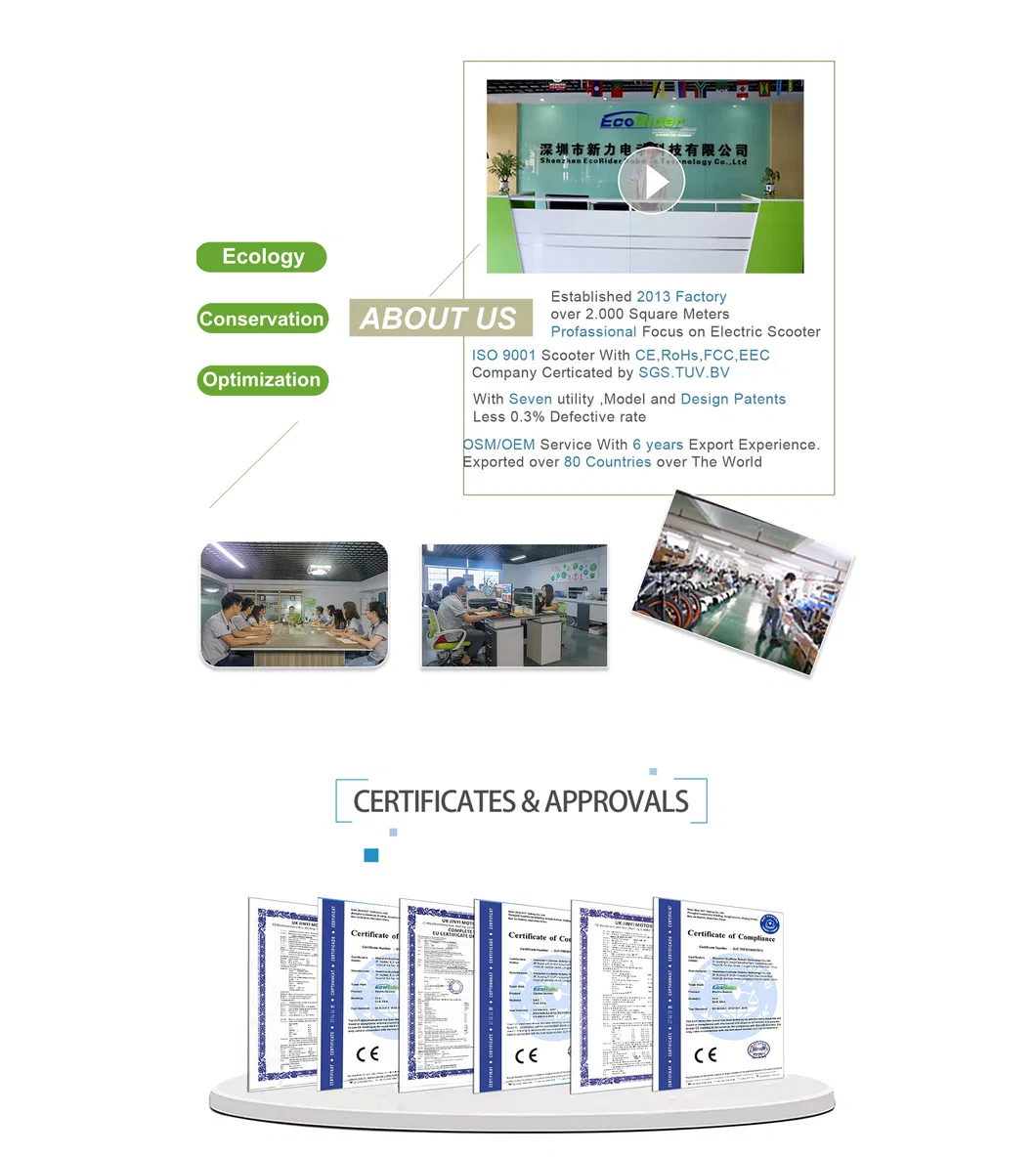 Fat Type City Bike Scooter Ecorider E6-1 Electric Bicycle