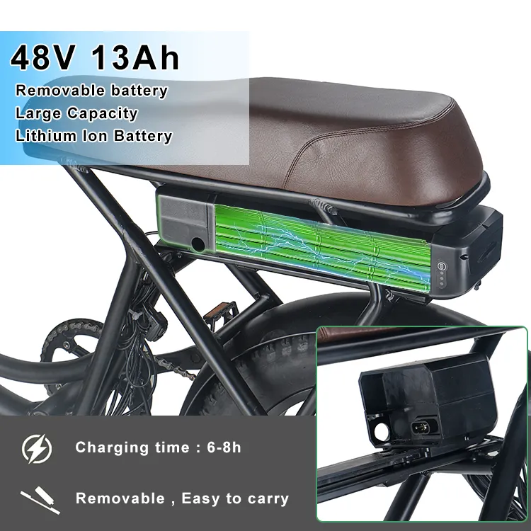 Fat Type City Bike Scooter Ecorider E6-1 Electric Bicycle