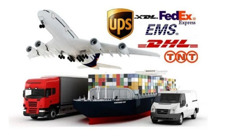 Fat Type City Bike Scooter Ecorider E6-1 Electric Bicycle