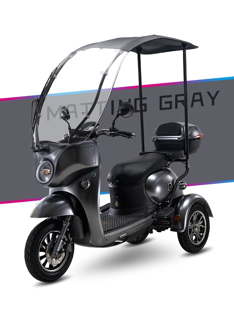 Front Body Named A6l Paetes Voiture 120W LED Tricycles Tricycle Electric for Men