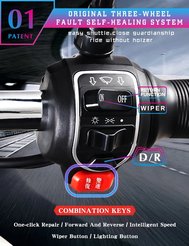 Front Body Named A6l Paetes Voiture 120W LED Tricycles Tricycle Electric for Men