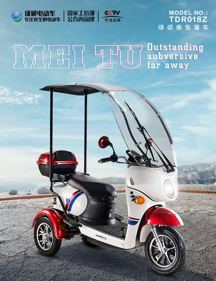 Front Body Named A6l Paetes Voiture 120W LED Tricycles Tricycle Electric for Men
