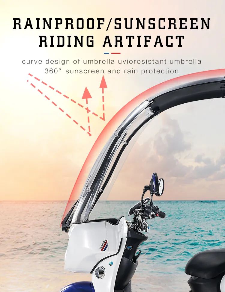 Front Body Named A6l Paetes Voiture 120W LED Tricycles Tricycle Electric for Men