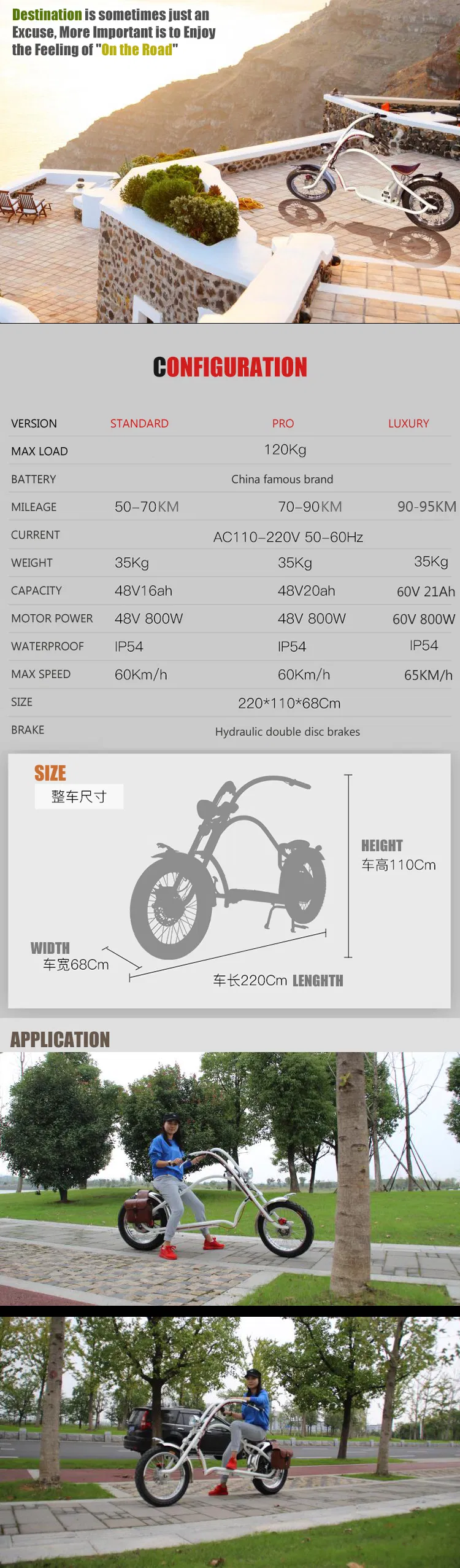 Ghost Bolsa PARA Old School Hydraulic Elektro Bike Cargo Electric Motorcycle 1000 Watt Bafang Motor