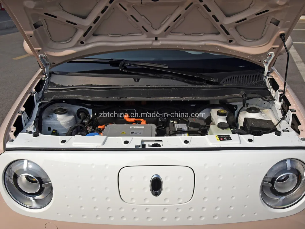 Good Quality Gwm Ora R1 City Use Long Range Electric Car Hatchback Mini SUV with Internet with LED Daytime Running Lights