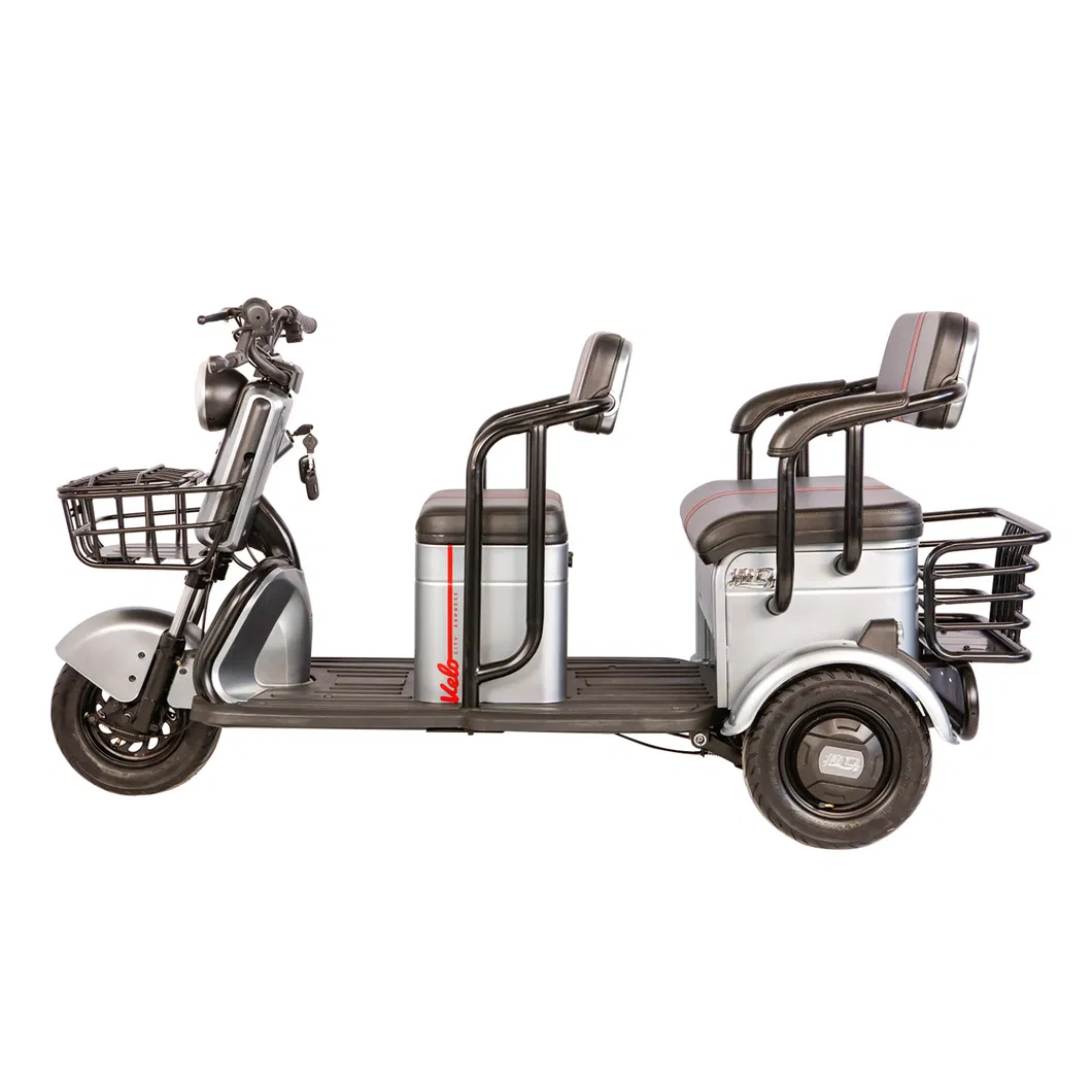 H6 China Electric Scooter 48V650W Disabled Electric Moped, Electric Tricycle