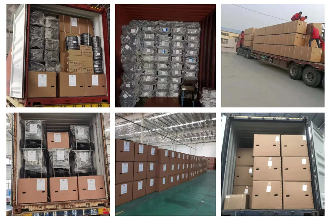 H8 Hot Selling Passenger Electric Tricycle with 48V650W Motor