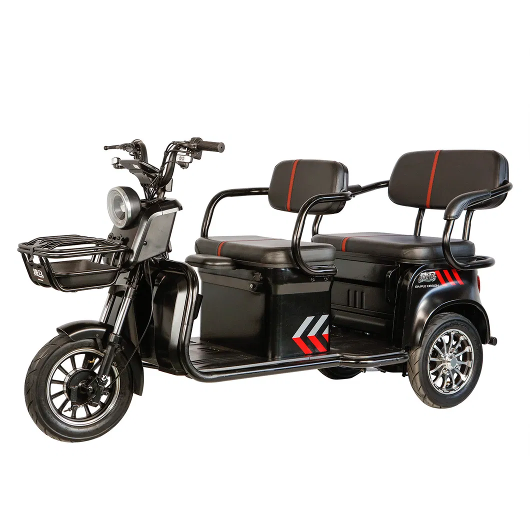 H8 Hot Selling Passenger Electric Tricycle with 48V650W Motor