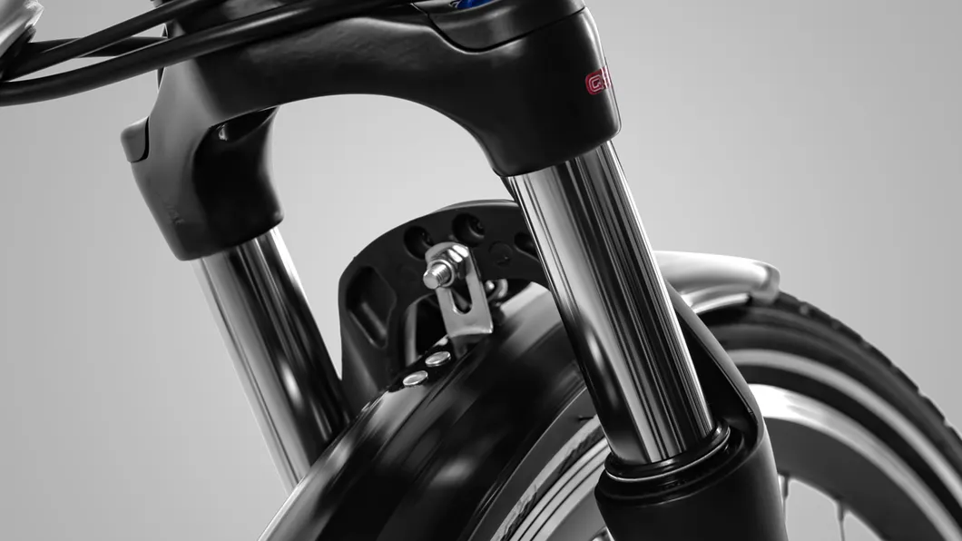 Haidong City Ebike with High Power and Long Range 120 Miles, 25 Miles/H