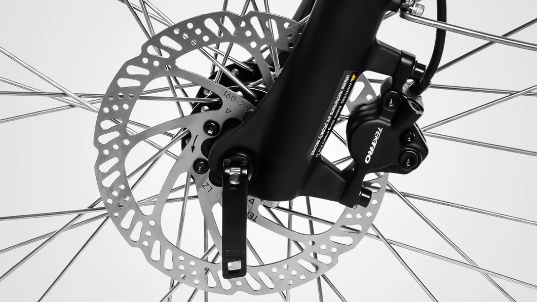 Haidong City Ebike with High Power and Long Range 120 Miles, 25 Miles/H