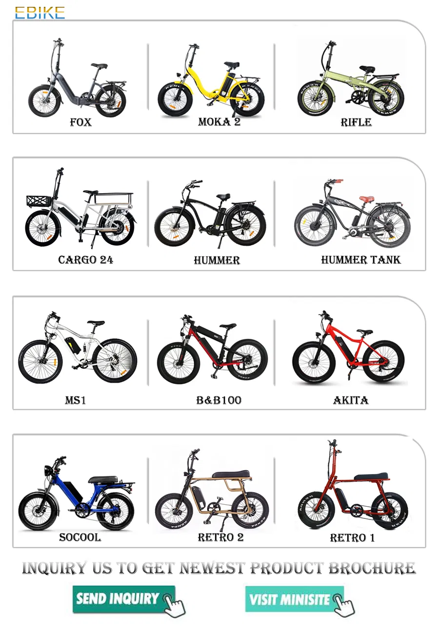 Hi-Lay II 1000W 48V 21ah Bench E-Bike Fat Tire Mountain Battery Bike for Adults