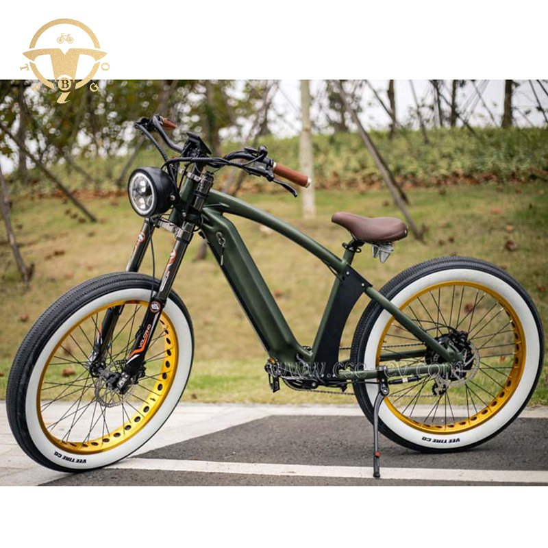 Hi-Lay II 1000W 48V 21ah Bench E-Bike Fat Tire Mountain Battery Bike for Adults