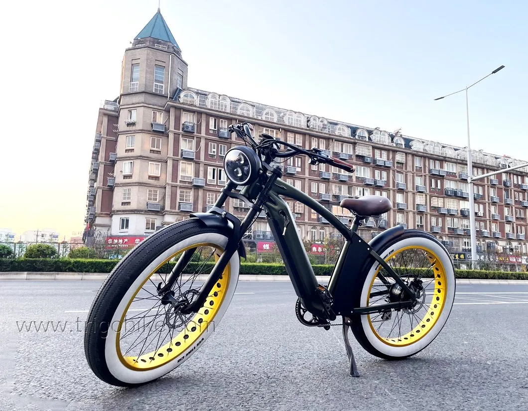 Hi-Lay II 1000W 48V 21ah Bench E-Bike Fat Tire Mountain Battery Bike for Adults