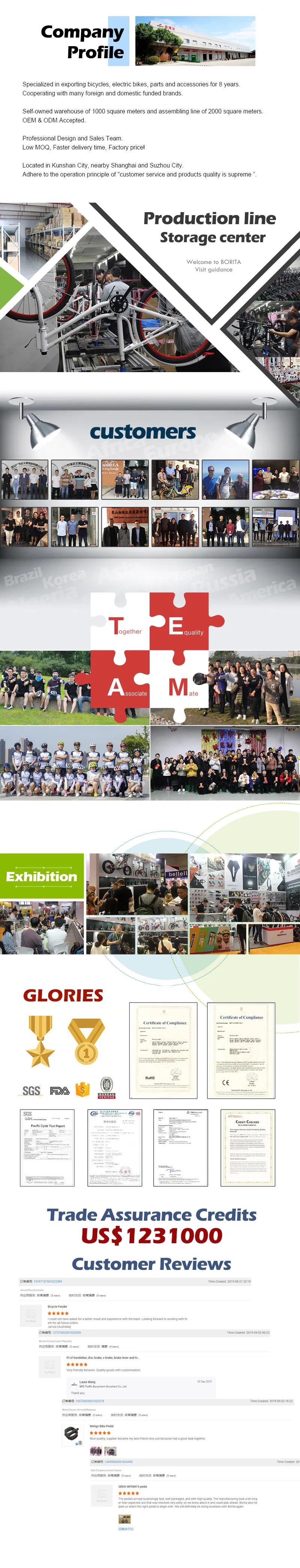 High-End Aluminum Alloy Electric Bike for Sale 48V 750W 20ah Cool Full Suspension Adults 20inch Folding Fat Comfortable Electric Bike