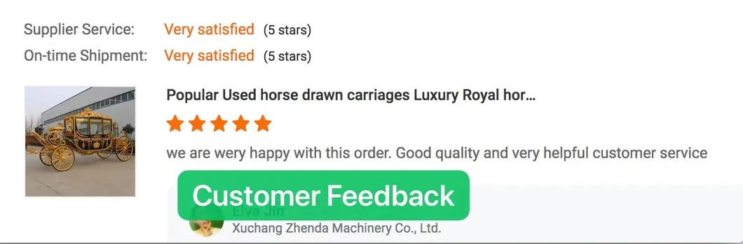 High Quality Christmas Pumpkin Carriage/Electric Royal Carriage/Horse Cart