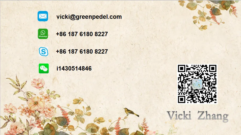 High Quality Electric Mountain Bike Double Lithium Battery 48V 500W Ebike