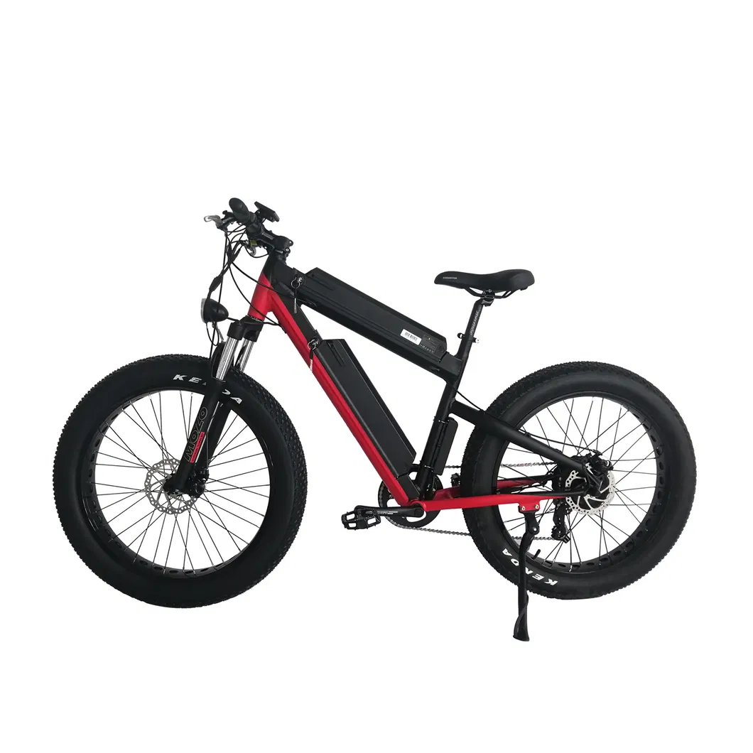 High Quality Electric Mountain Bike Double Lithium Battery 48V 500W Ebike