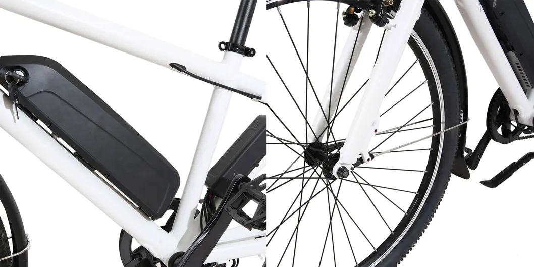 High Quality Longtail Cargo Electric Bike European Style