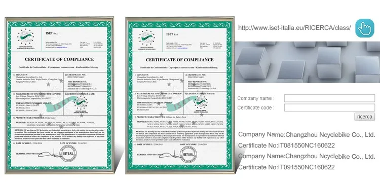 High Quality Waterproof 36V 250W Electric Bike Kit with Brushless Geared Motor