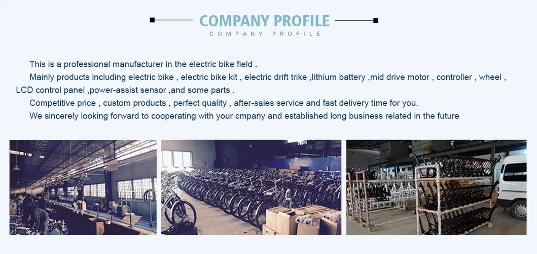 High Quality Waterproof 36V 250W Electric Bike Kit with Brushless Geared Motor