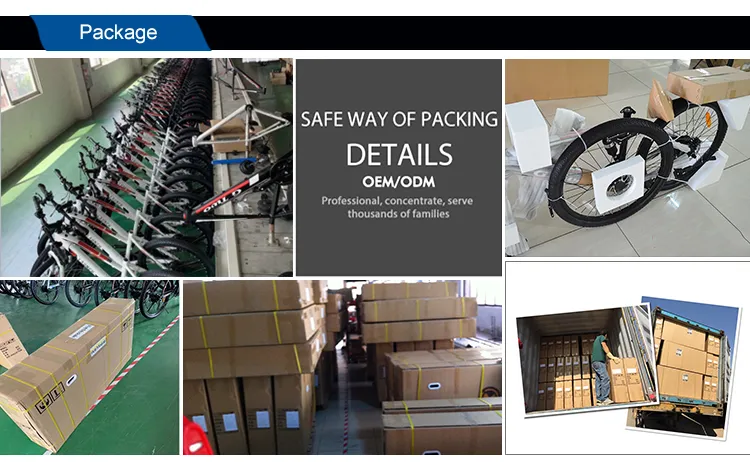 High Technology Electric Mountain Bike with Active Cruise Ride Mode and GPS Tracking Systems