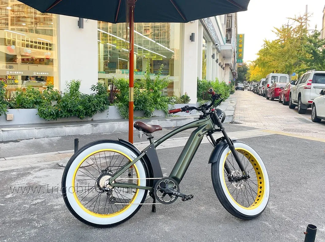 Hot Model Fork Suspension 26inch 21ah Electric Bicycle Mountain E-Bike