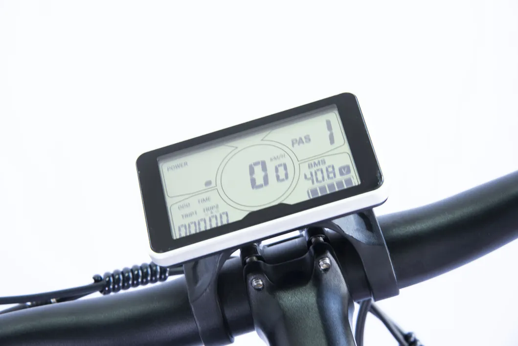 Hot Sale China E-Bike 700c 9s Electirc Mountain Bike