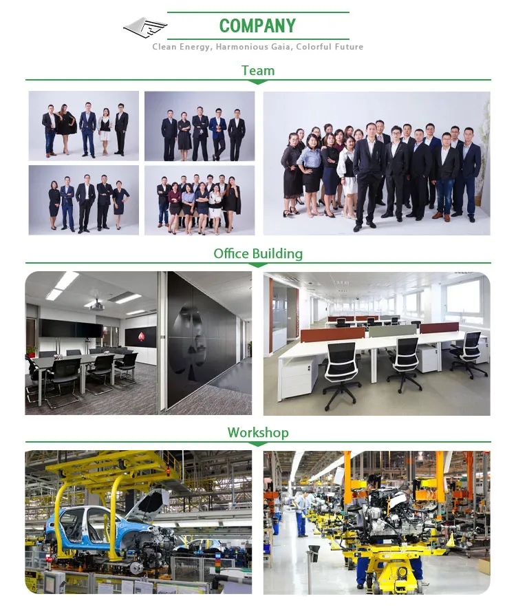 Hot Sale DOT EEC Automotives L7e/L6e 4/2 Seaters Electric New Cars with Speed 60km Ternary Lithium Battery