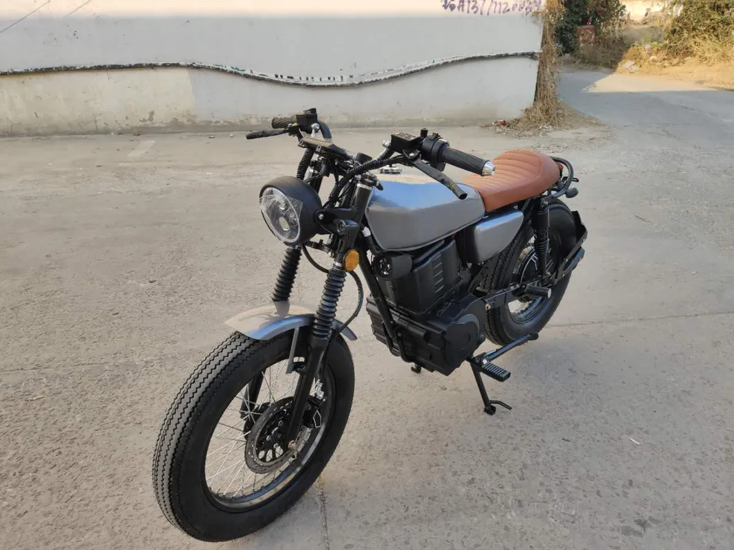 Hot Sale E Bike 4000W Niu Design with Brushless Motor