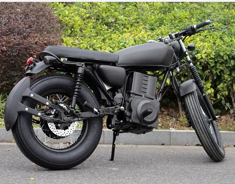 Hot Sale E Bike 4000W Niu Design with Brushless Motor