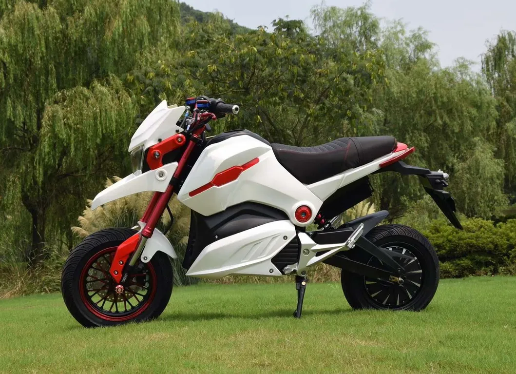 Hot Sale New Arrival EEC Electric Motorcycle M5 Msx with Cood Design and Green Energy